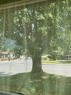 Vintage 1970s curtain, yellow sheer Swiss dots, single panel, 88" W x 47" L